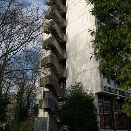 20220211 img 4957 lowresi 530x530