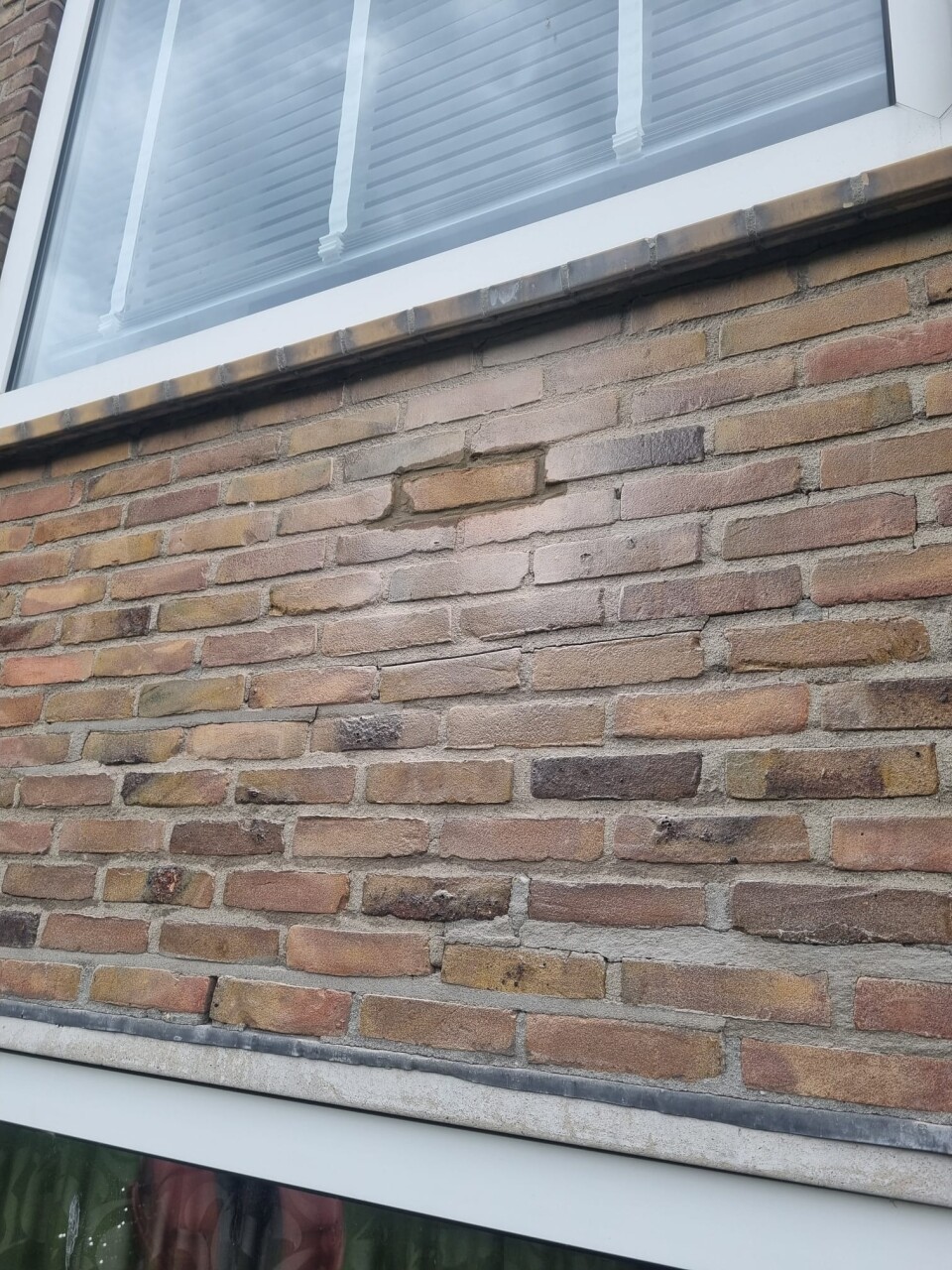 Afbeelding van WhatsApp op 2025 07 17 om 16.49.44 80678129