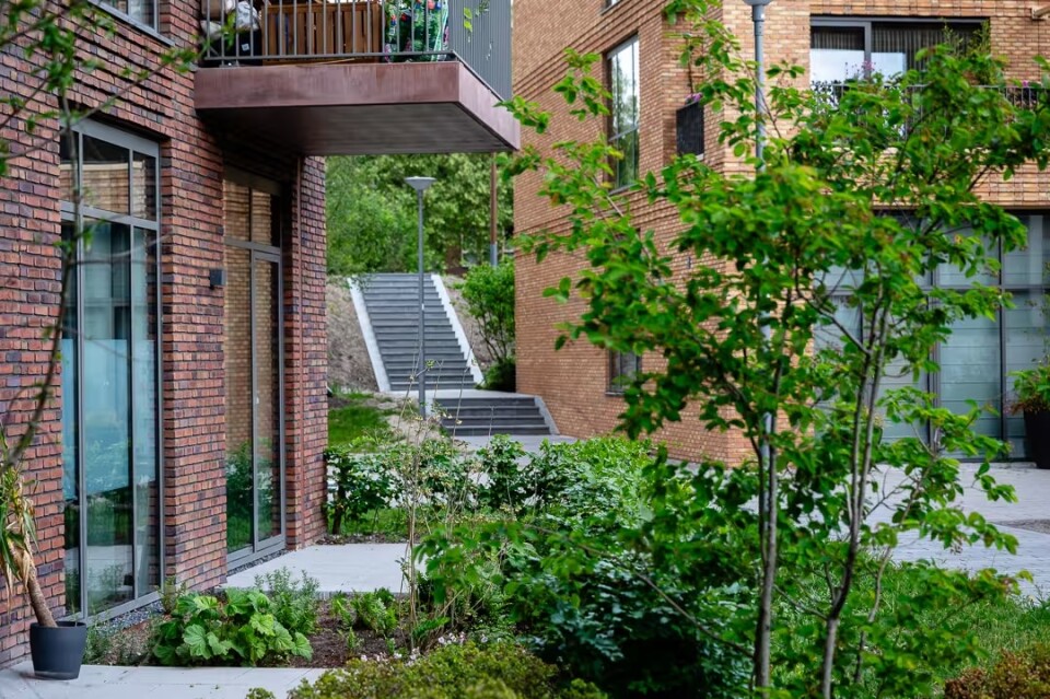 Wallaard Rotterdam trap dakpark 10